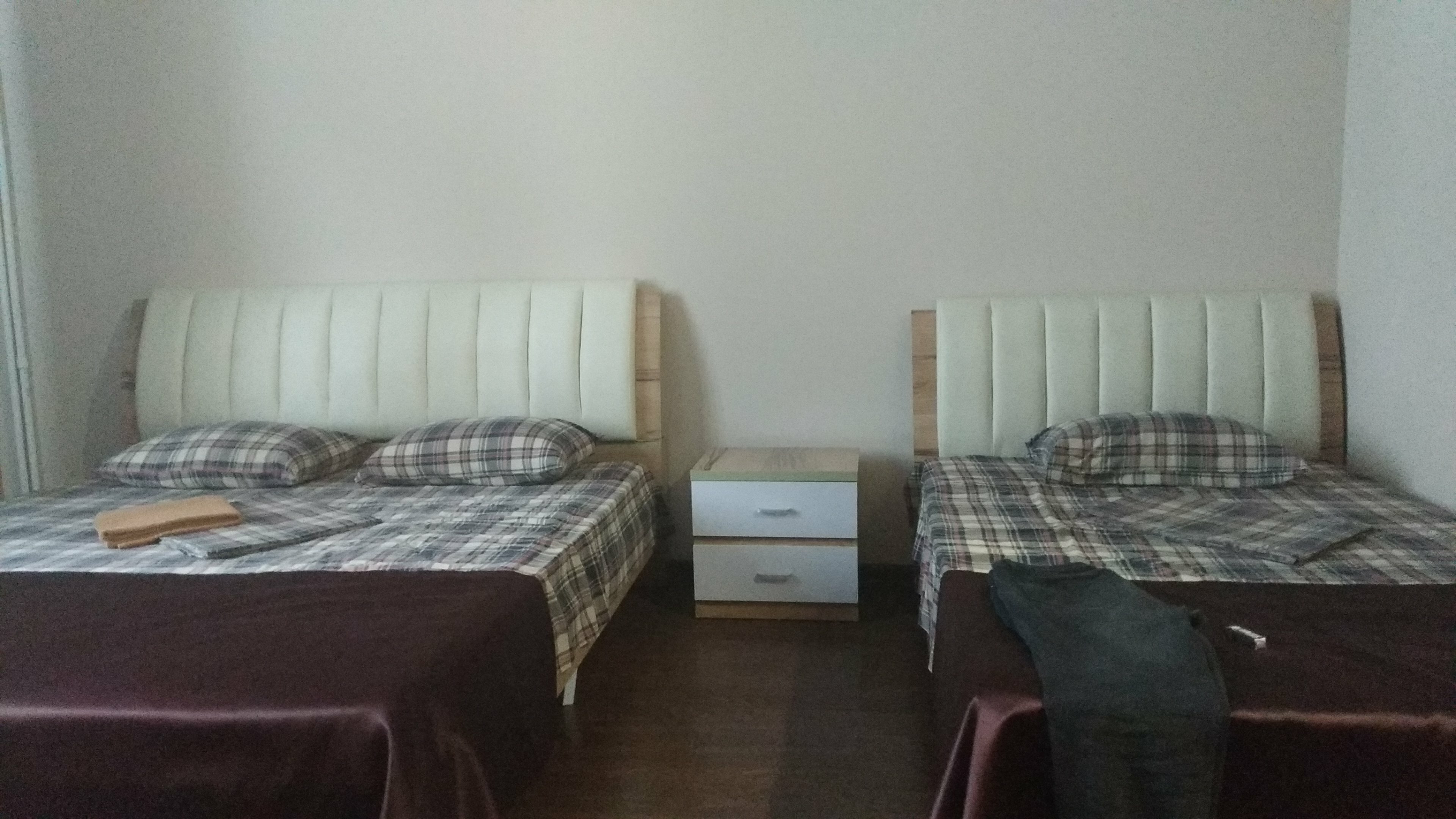 Фото Облепиха