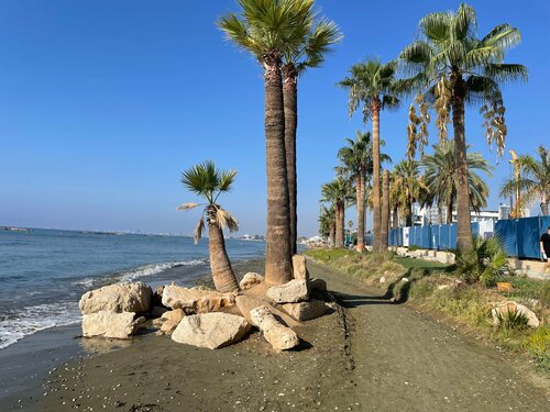 Гостиница Nefeli Larnaca Beach Villa