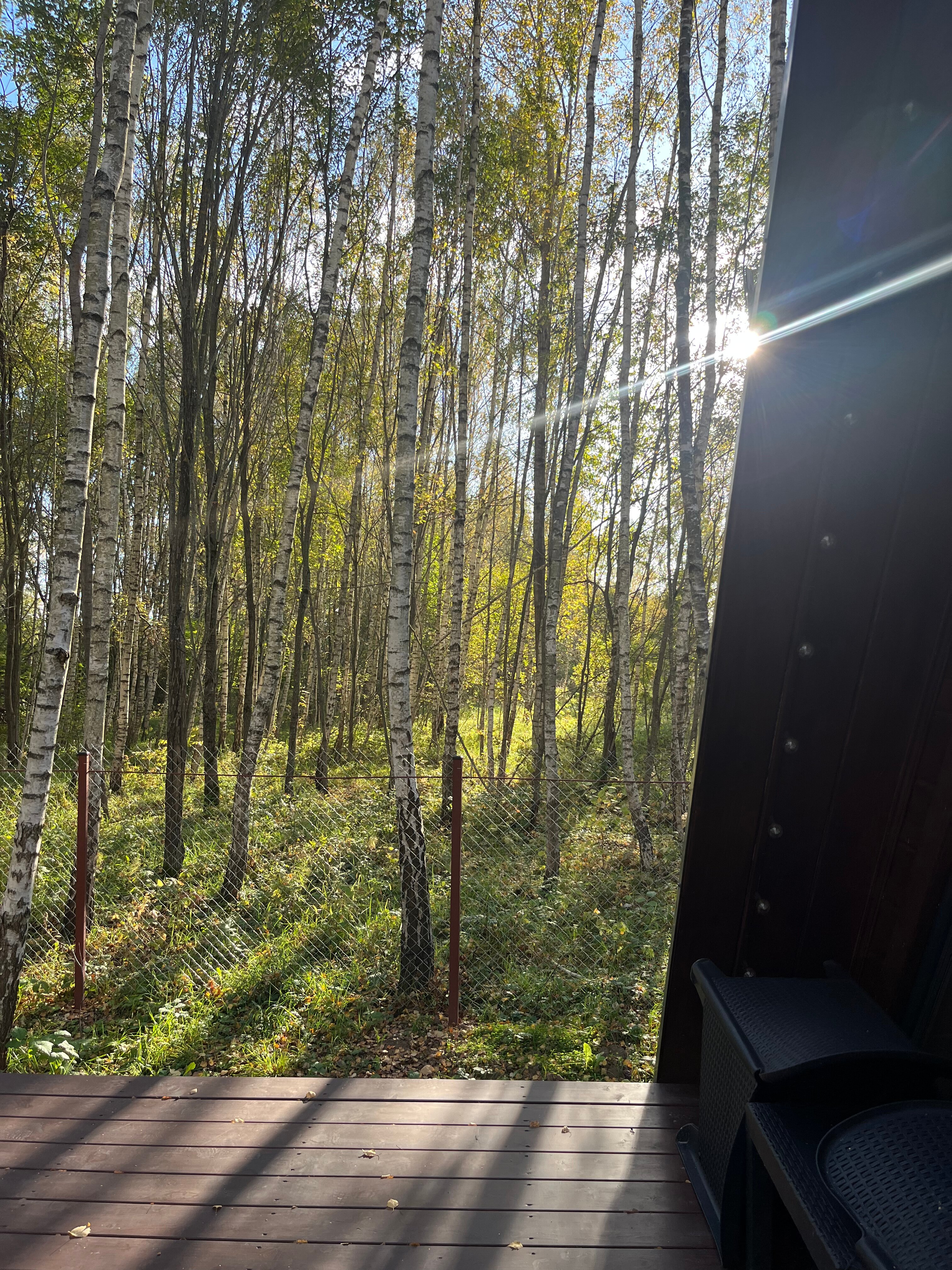 Фото Эко Дуб