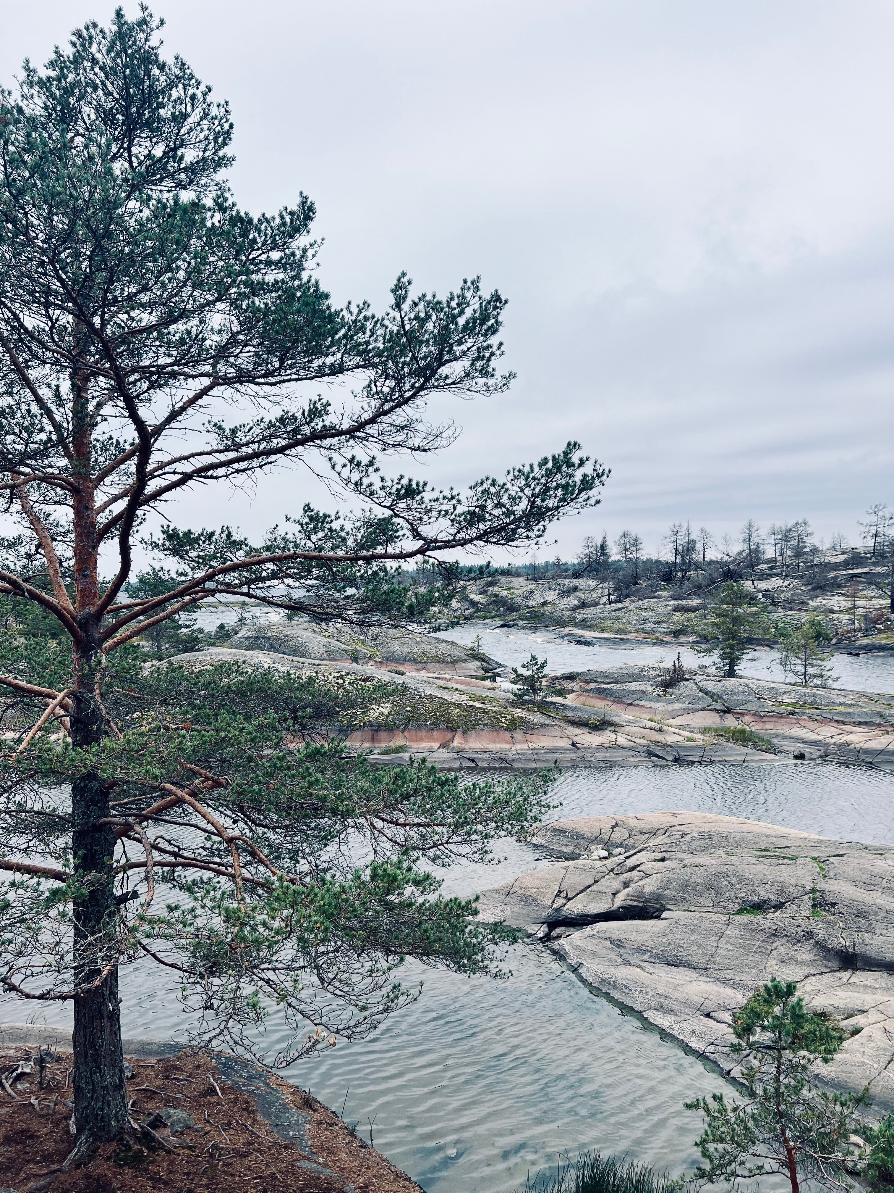 Фото Family Kodikas