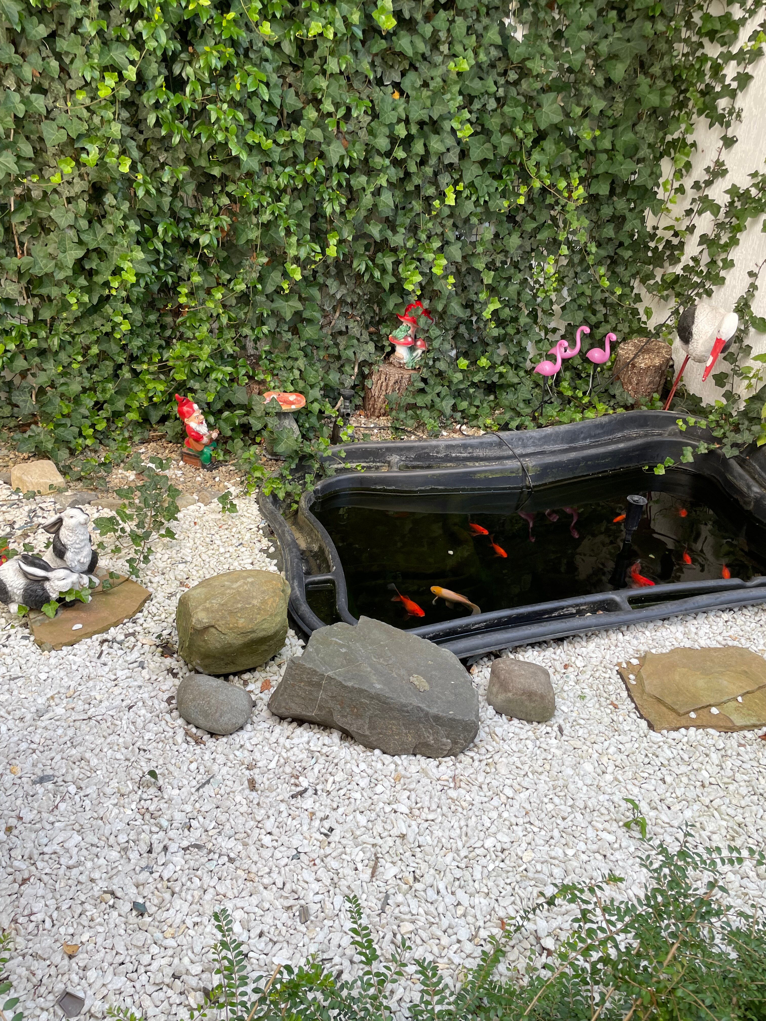 Фото Madisson RoDina