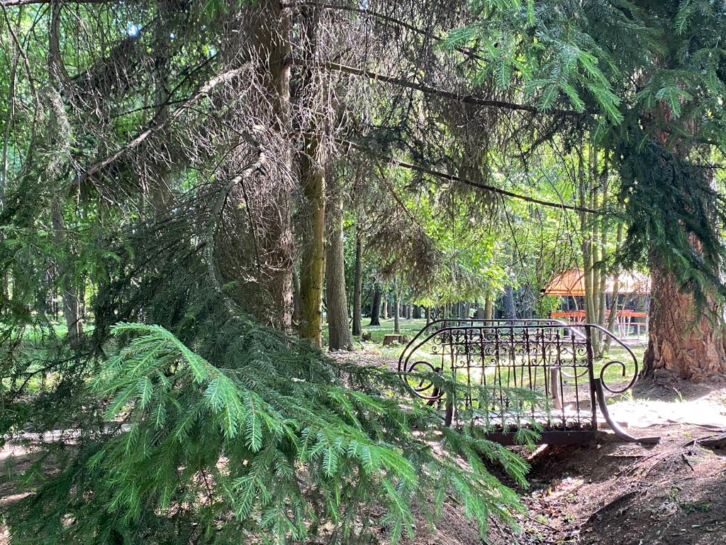 Фото Нагорное