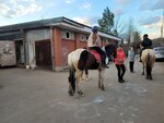 Тандем (31А, квартал Хомутово, Балашиха), конный клуб в Балашихе