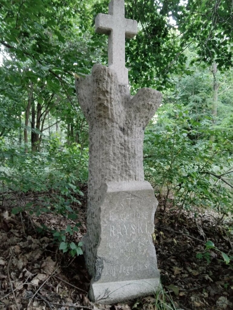 محمية биологический заказник Непокойчицы ، ، صورة