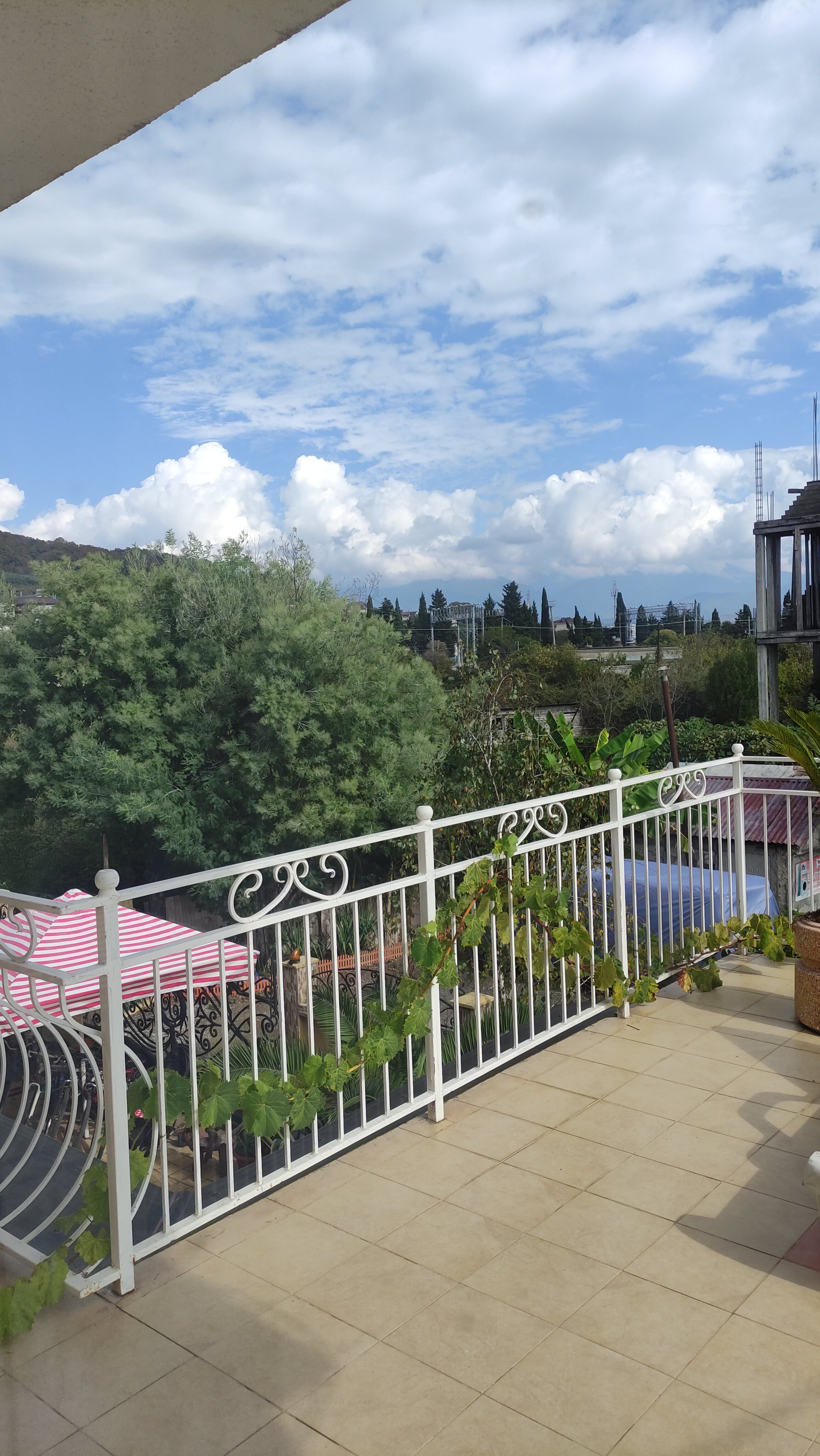 Фото Ариетта