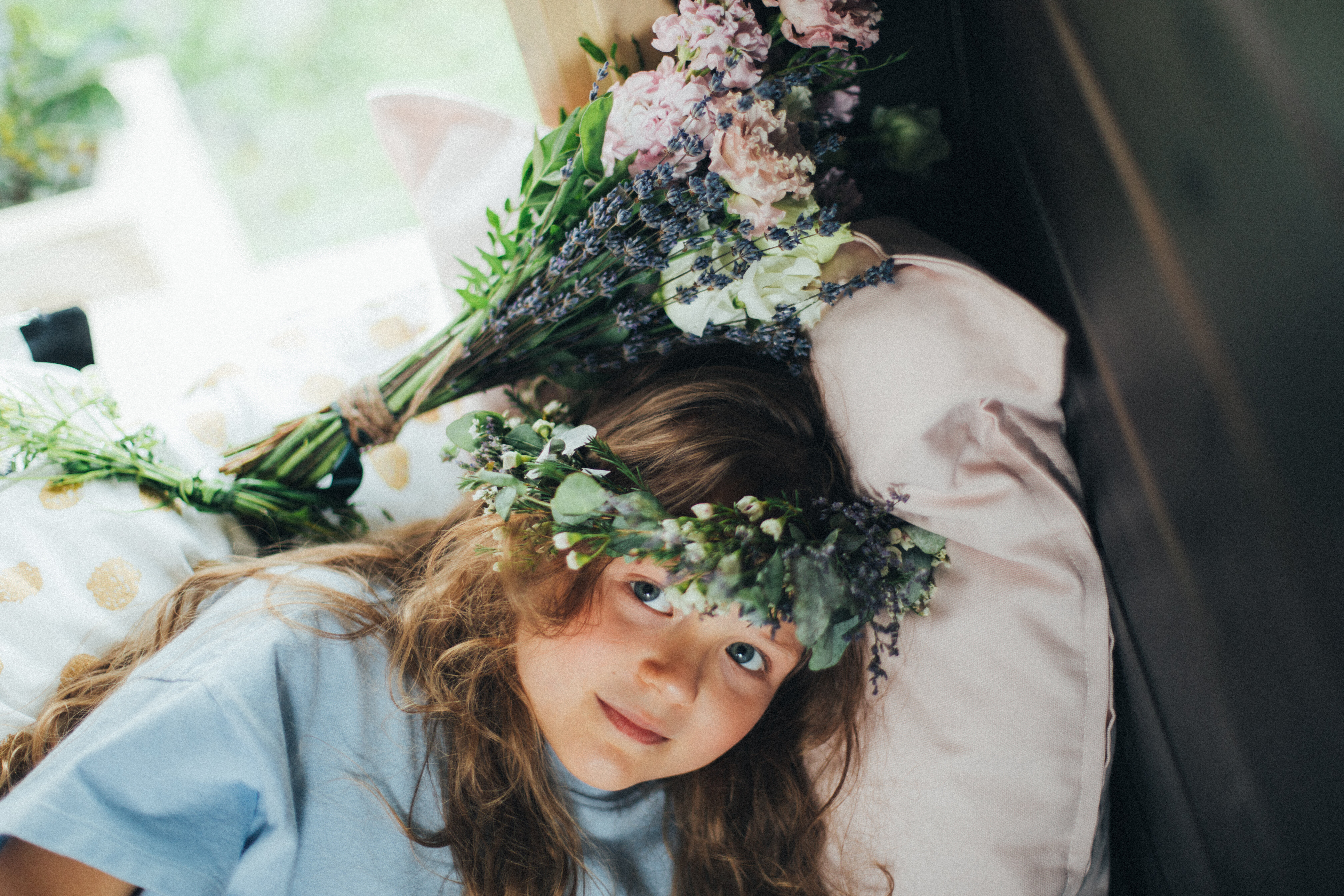 Фото Тополя