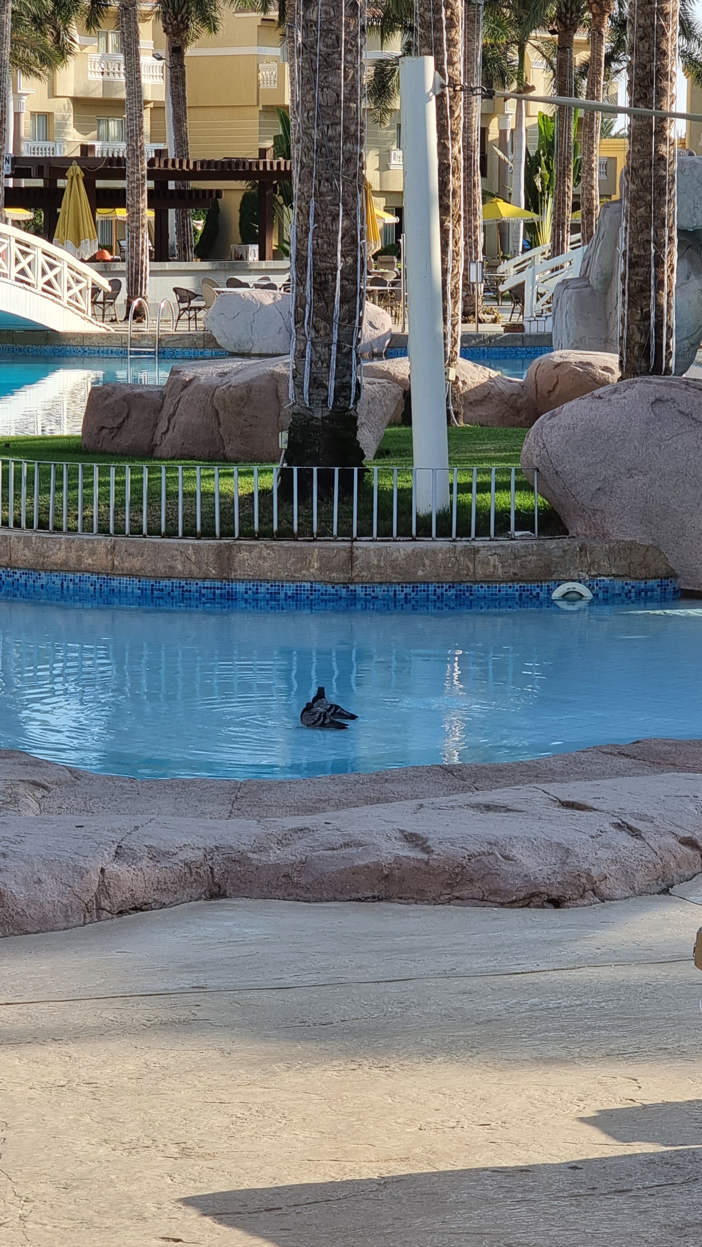 Фото Rixos Premium Seagate