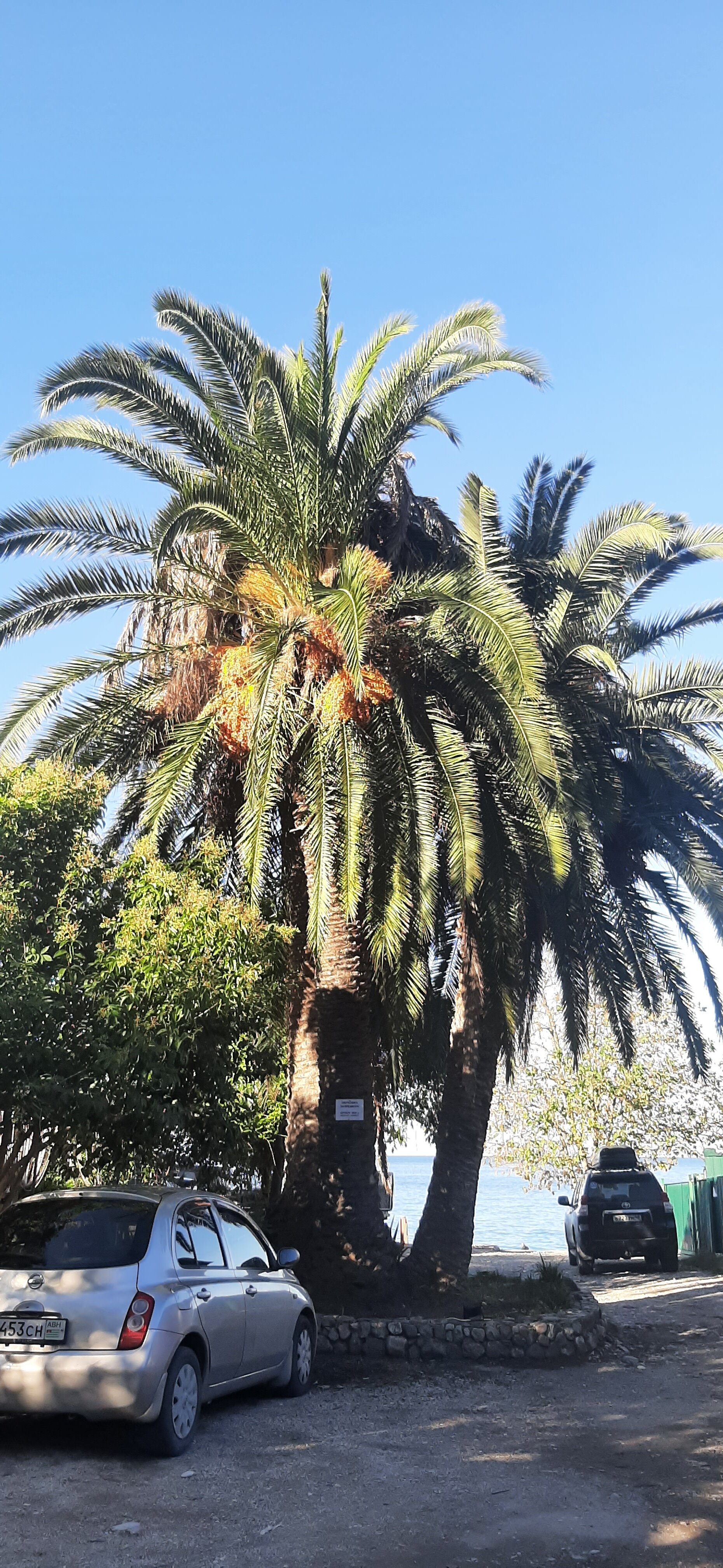 Фото Руслан Гагра