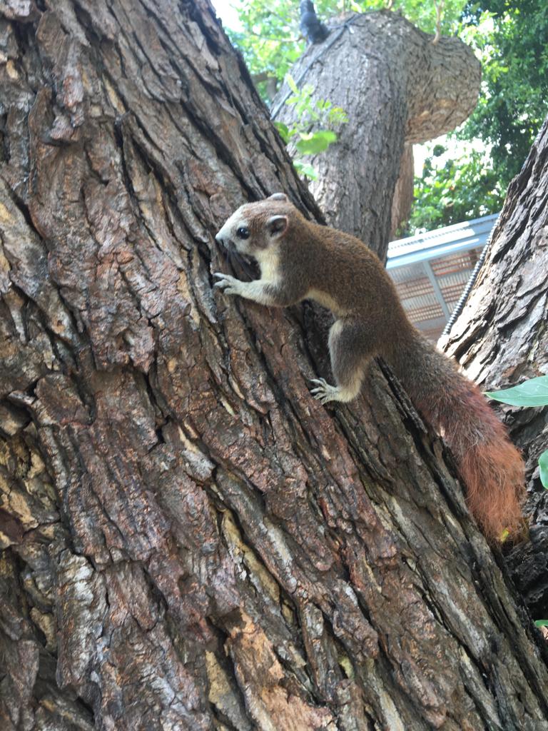 Фото Cosy Beach Hotel