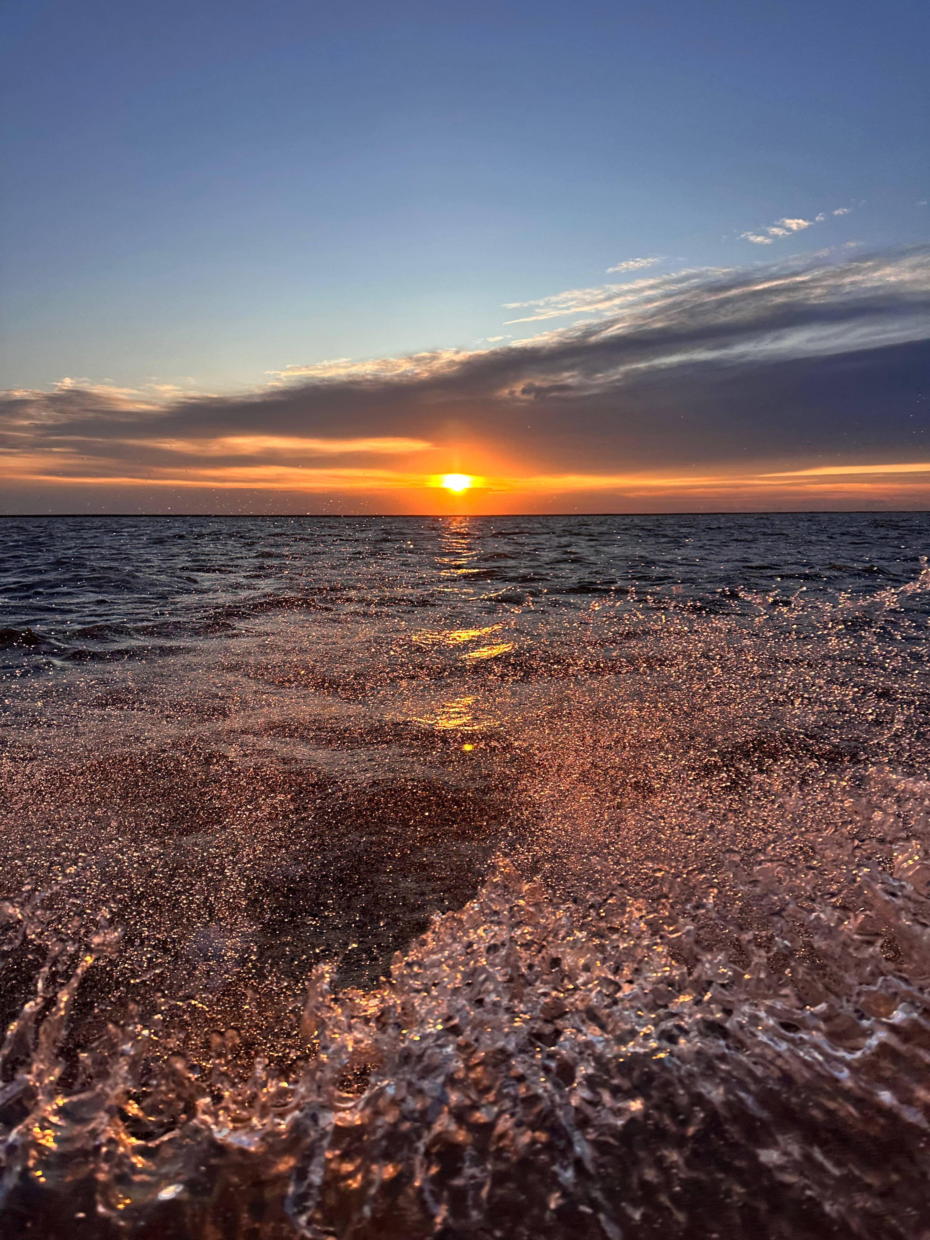 Фото Лесная