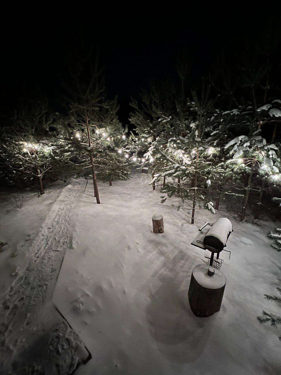 Фото Forest camp