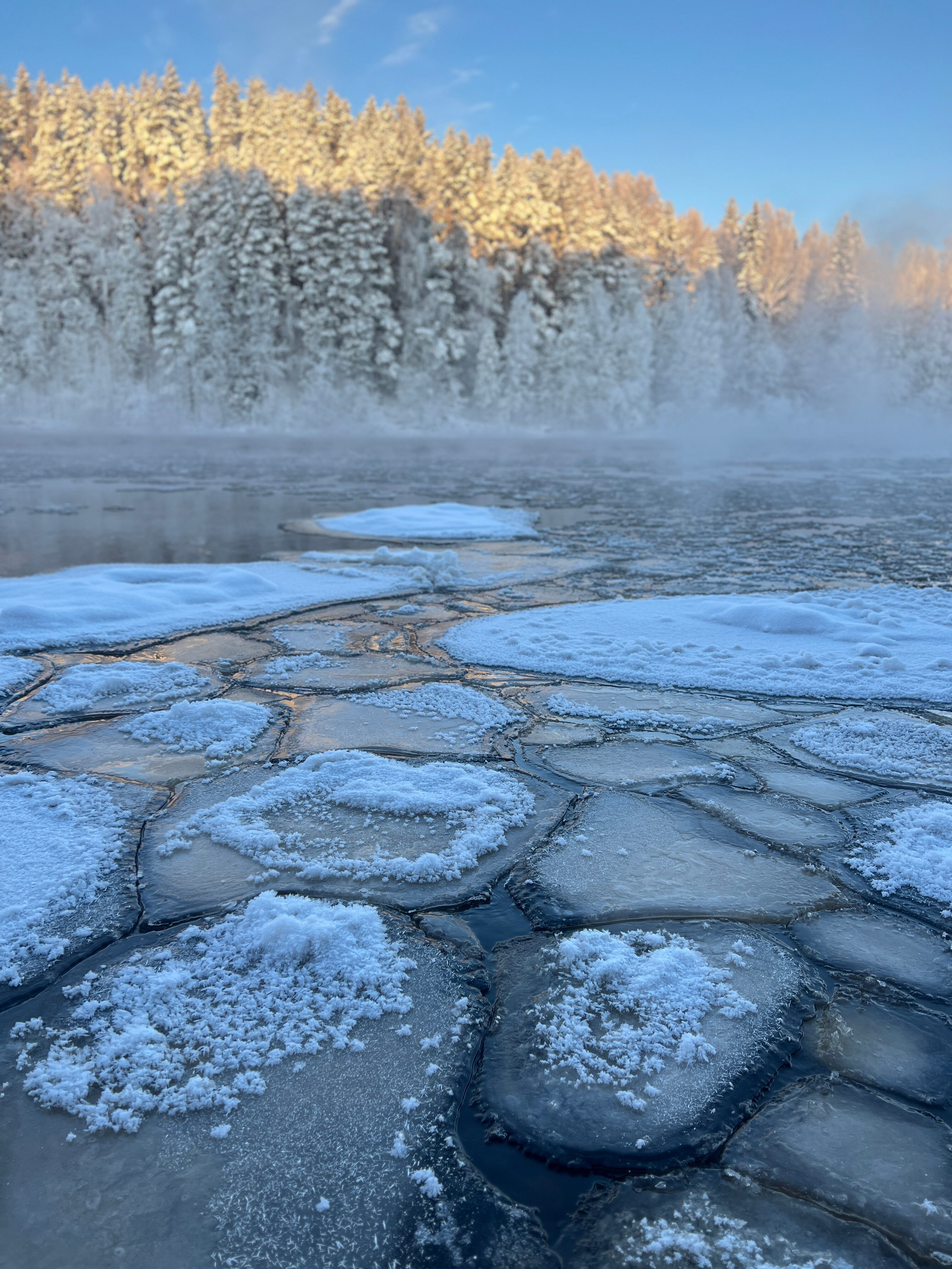 Фото Карьяла Парк