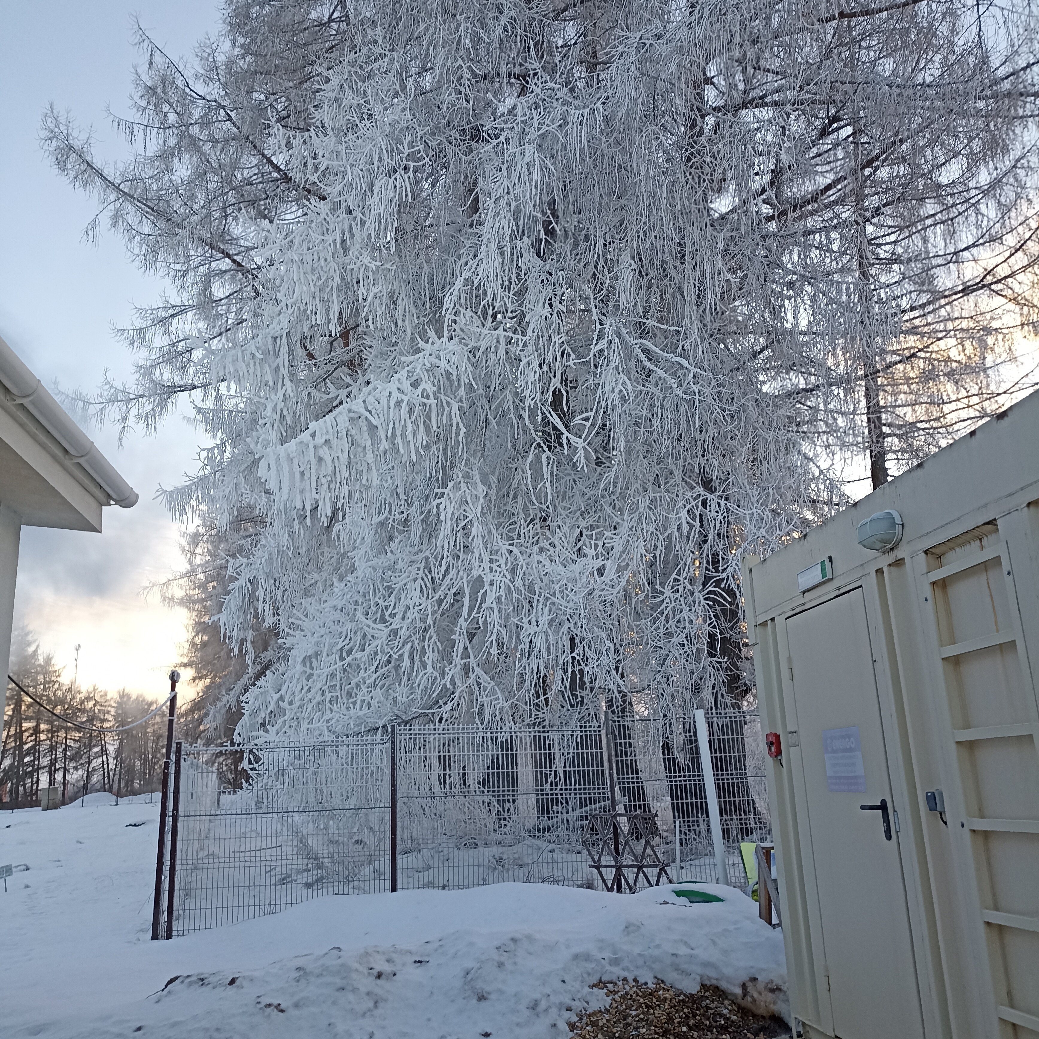 Фото Дугино