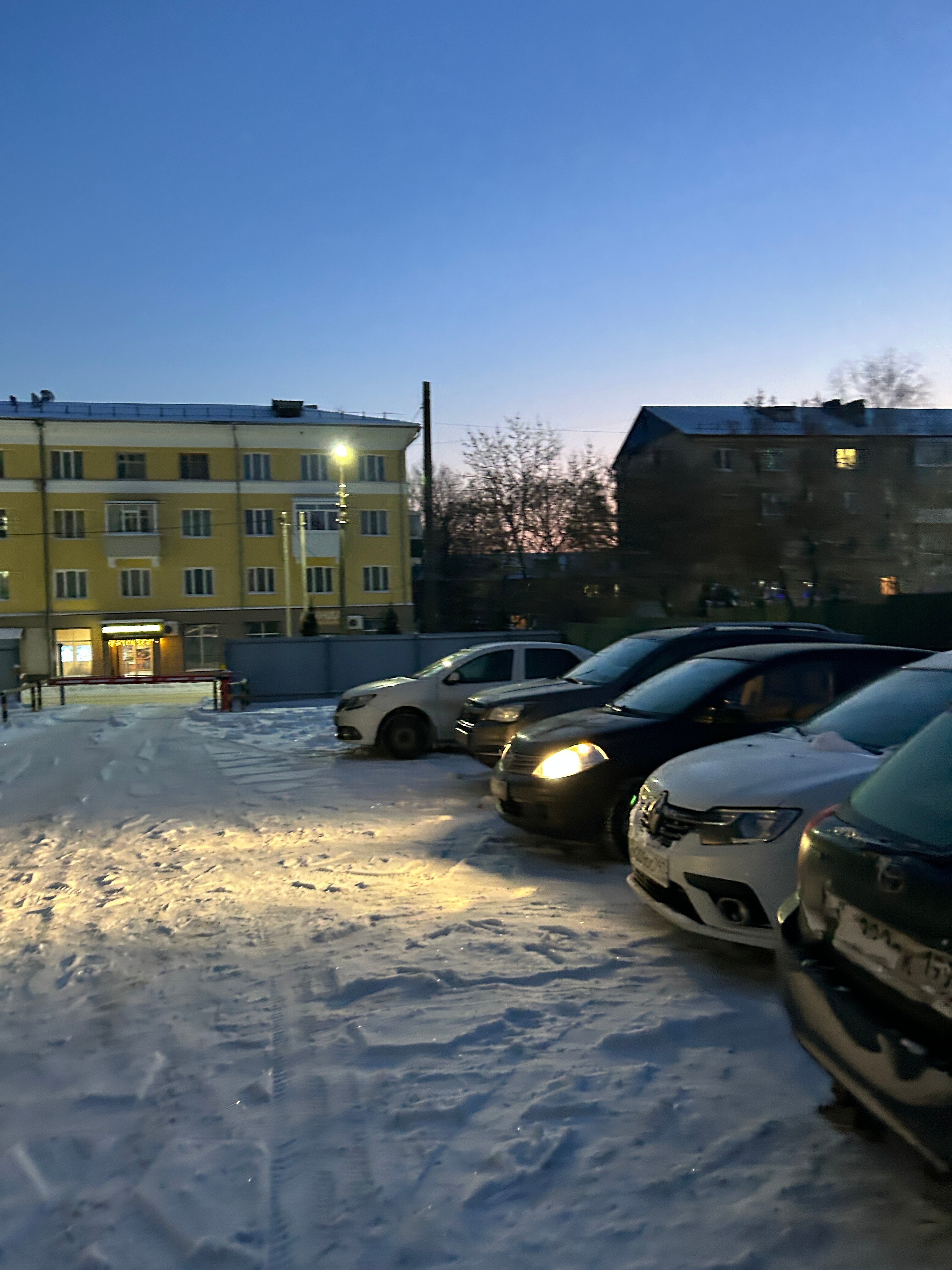 Фото Красивая Меча