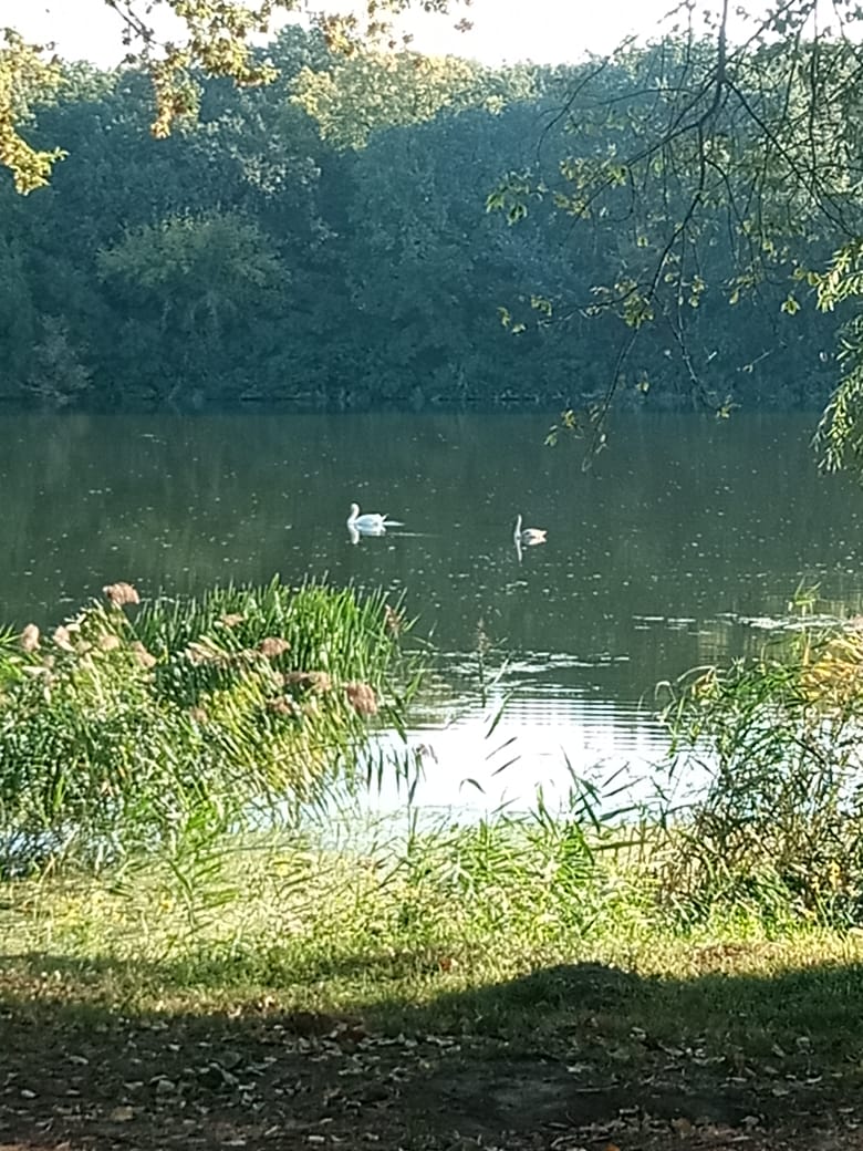 Фото Автомобилист