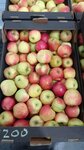 Яблоневый сад (Saratov Region, Marksovskiy rayon, Privolzhskoye munitsipalnoye obrazovaniye, selo Bobrovka), productos agrícolas