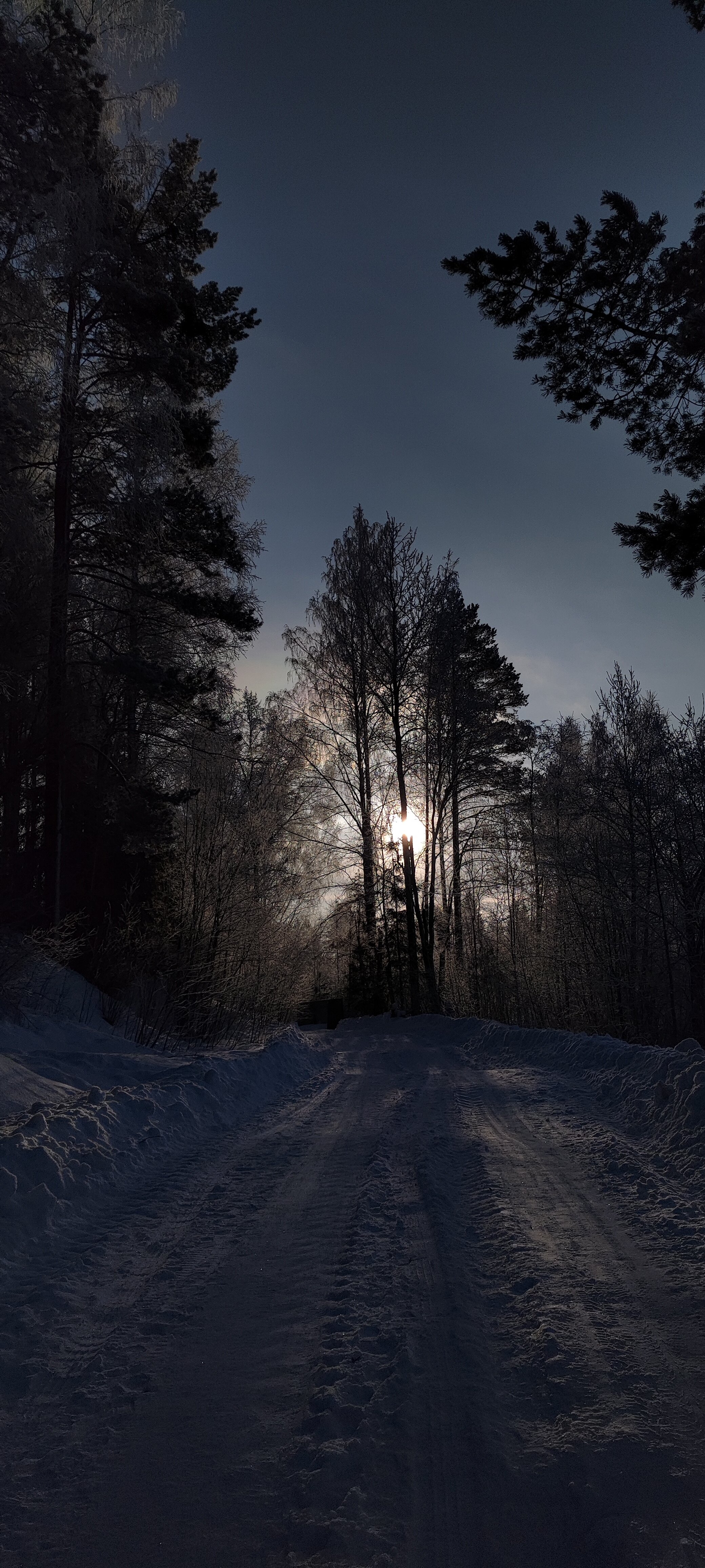 Фото Пикник 2.0