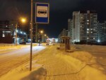 Улица Ижорского Батальона, 7 (St. Petersburg, Kolpino, ulitsa Izhorskogo Batalyona), public transport stop