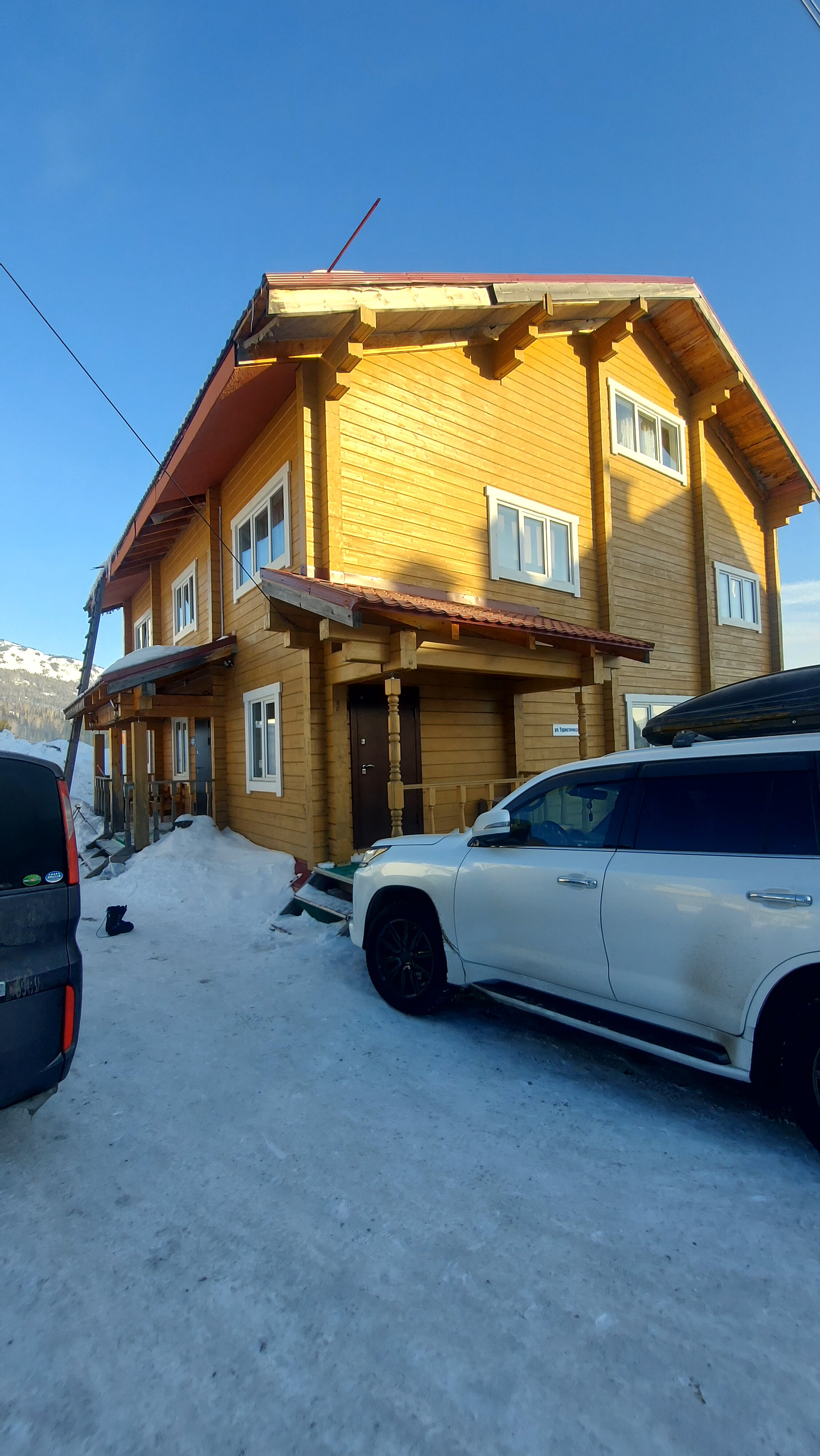 Фото Медведица