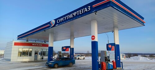 Gas station Сургутнефтегаз, Novgorod Oblast, photo