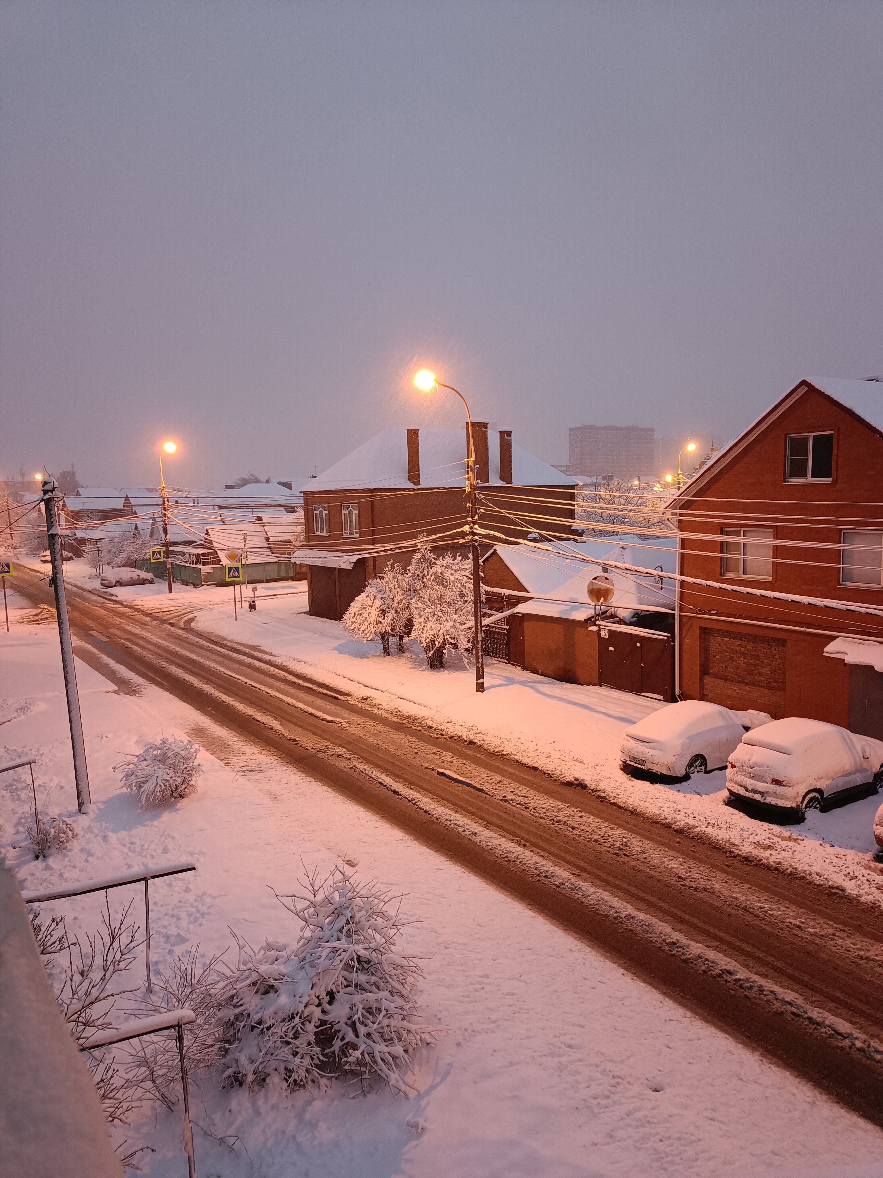 Фото Тип Топ