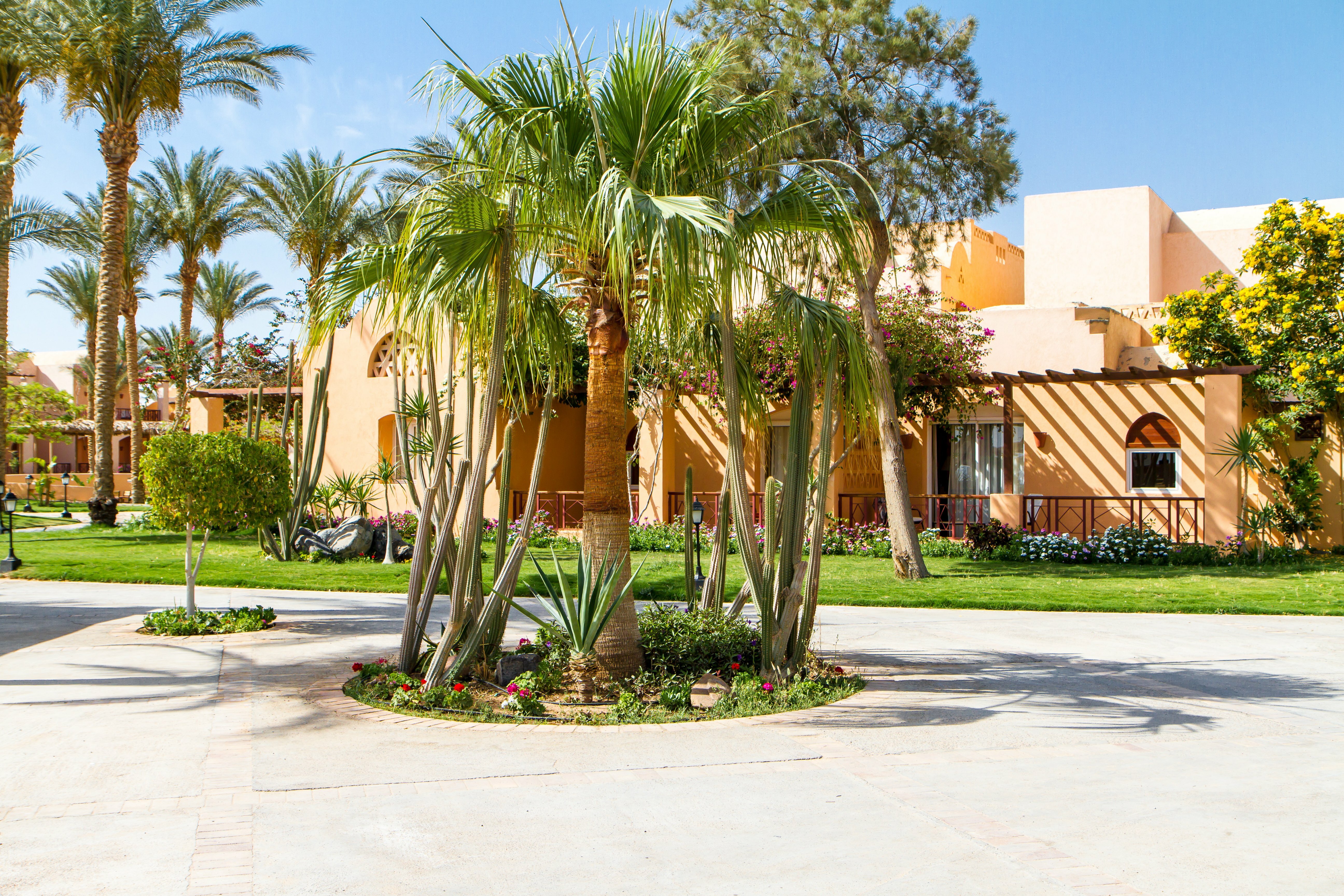 Фото Джаз Макадина