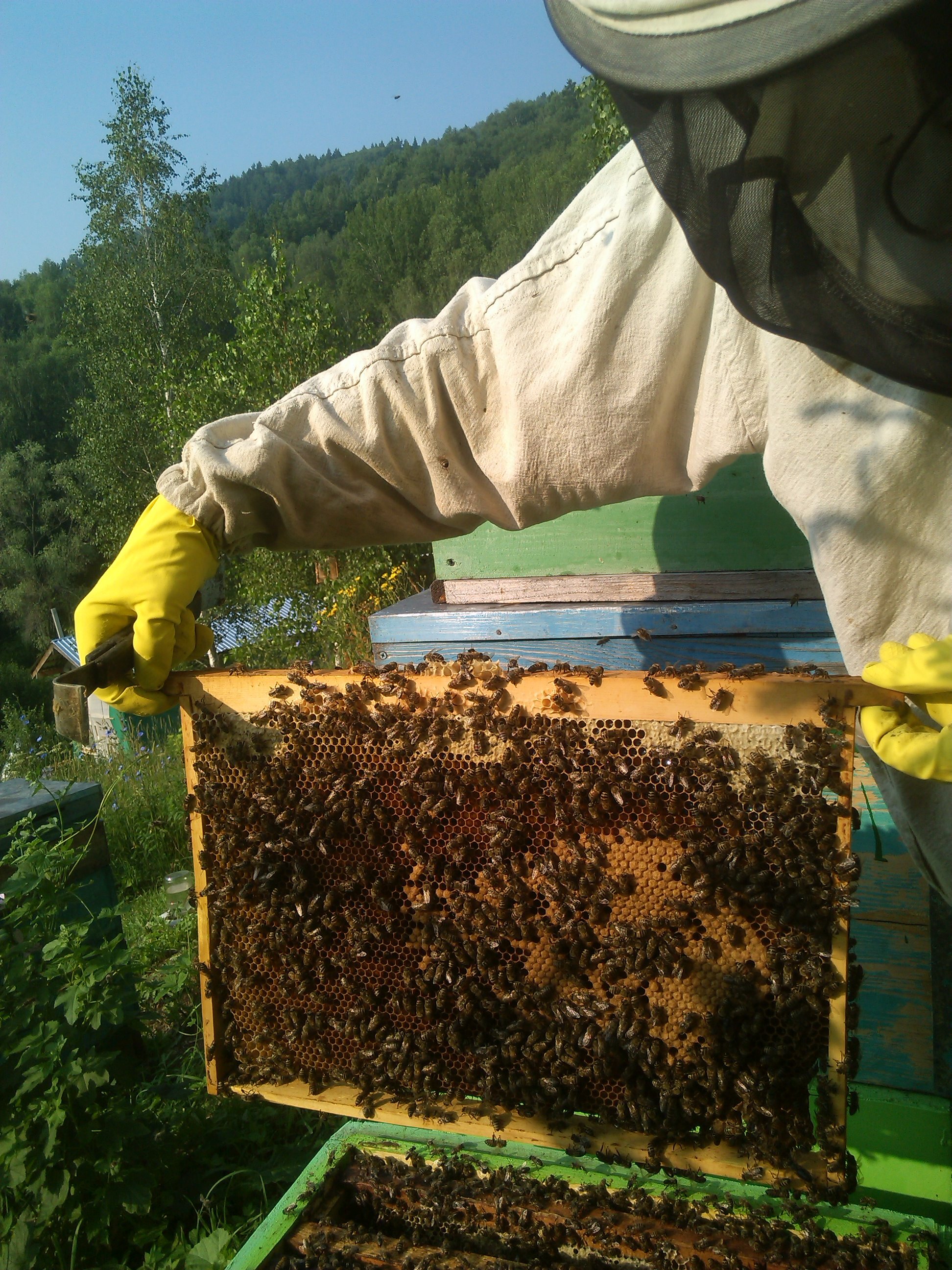 Фото Тихий Лог