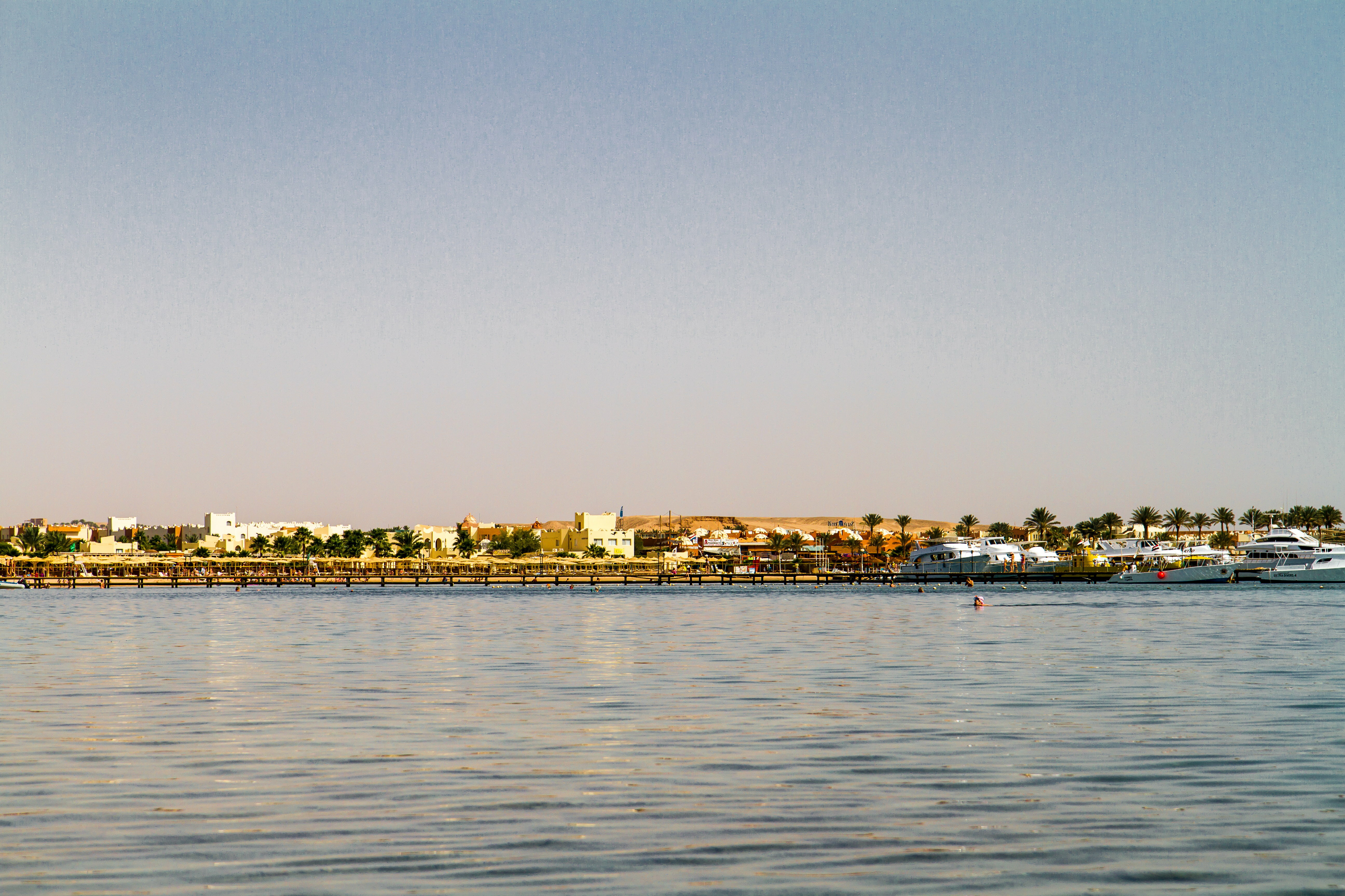 Фото Джаз Макади Сарайя Палмс
