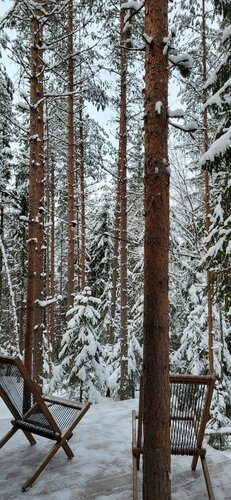 Вили Улей Карелия — фото 2
