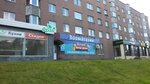 Vernye Druzia (Oktyabrskiy Avenue, 13), pet shop