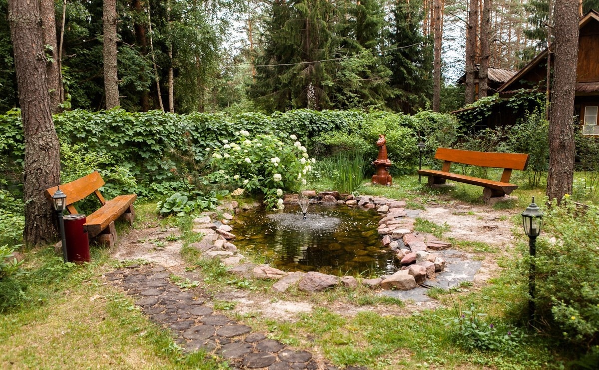 Фото Ягодная деревушка