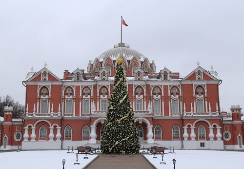 Новогодний петровский путевой дворец фото