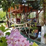 Pansiyon Akmonya (Tekirdağ, Sarkoy District, Eriklice Mah., Fasul Bahçe Sok., 16), hotel