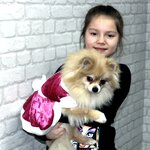 Zolotoy Oskar, pet salon (Bolshaya Oktyabrskaya Street, 124/15) ، صالون حيوانات أليفة