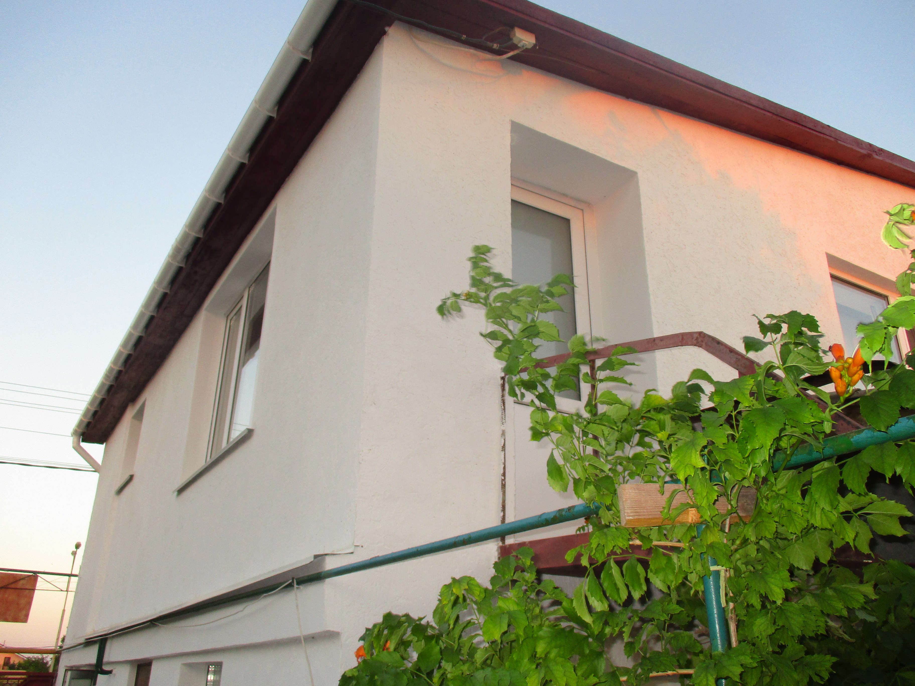 Фото СимСим