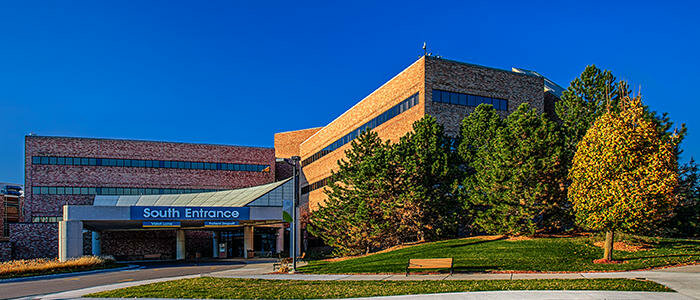 Medical center, clinic Suraj R. Raheja, Md, State of Michigan, photo