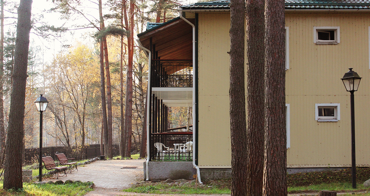 Фото Добрый Лось