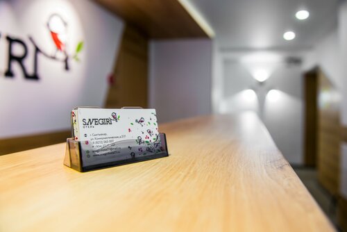 Гостиница Snegiri в Республике Коми