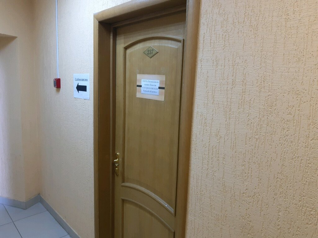 State supervisory bodies Инспекция по охране и использованию объектов культурного наследия Курской области, Kursk, photo