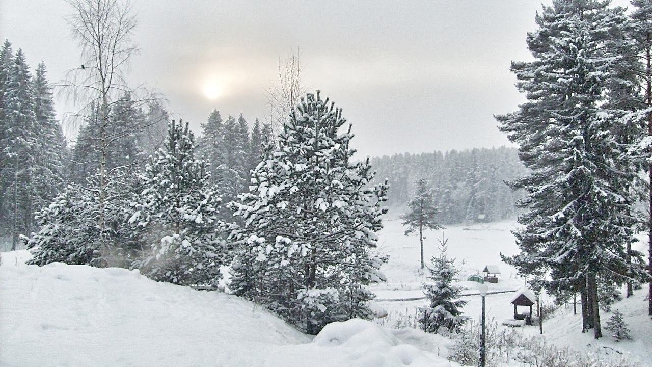 Фото База отдыха Клёвое место