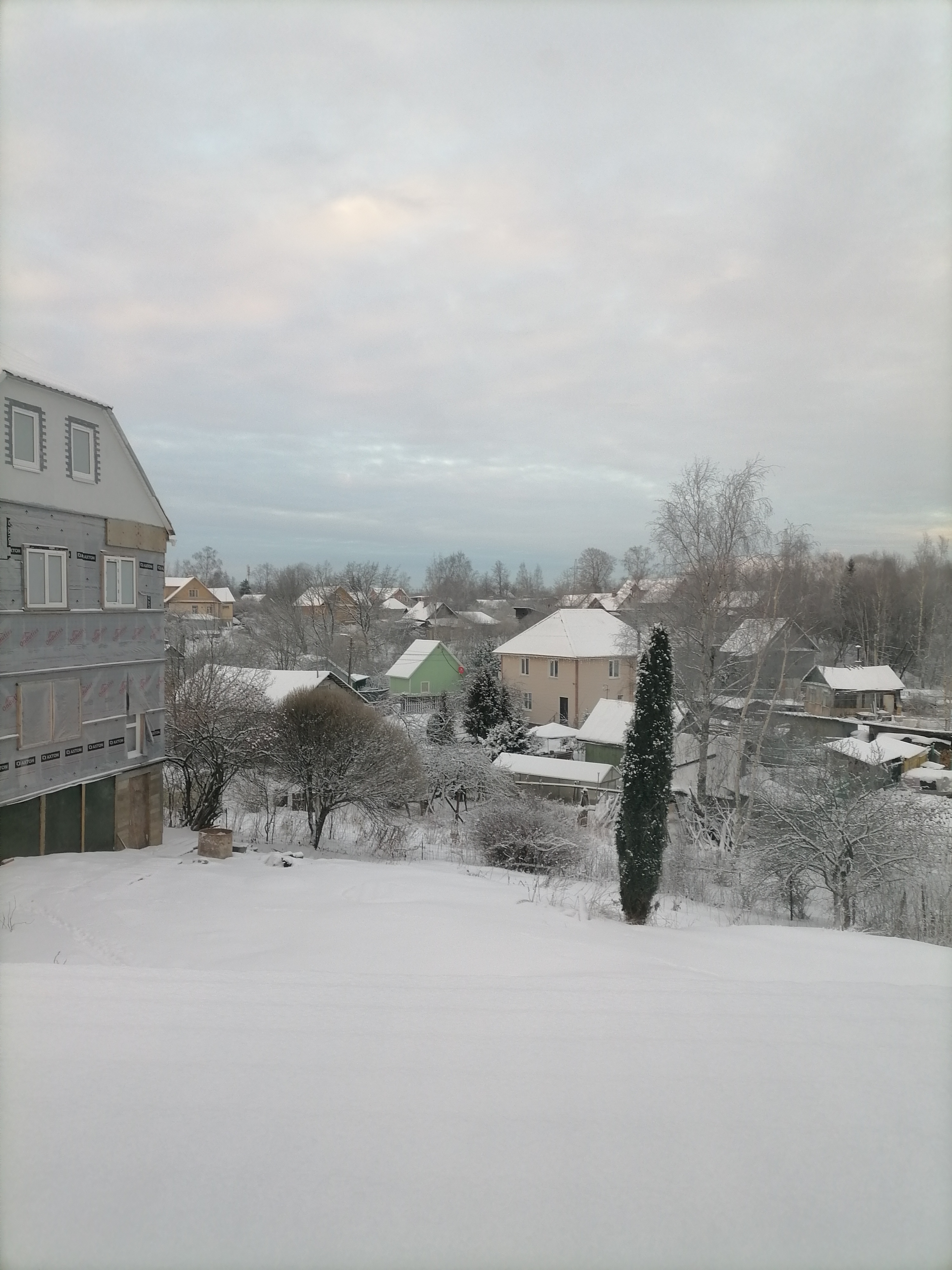 Фото Ёлки на горке