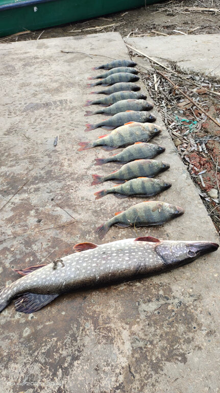 Фото Усадьба Гандурино