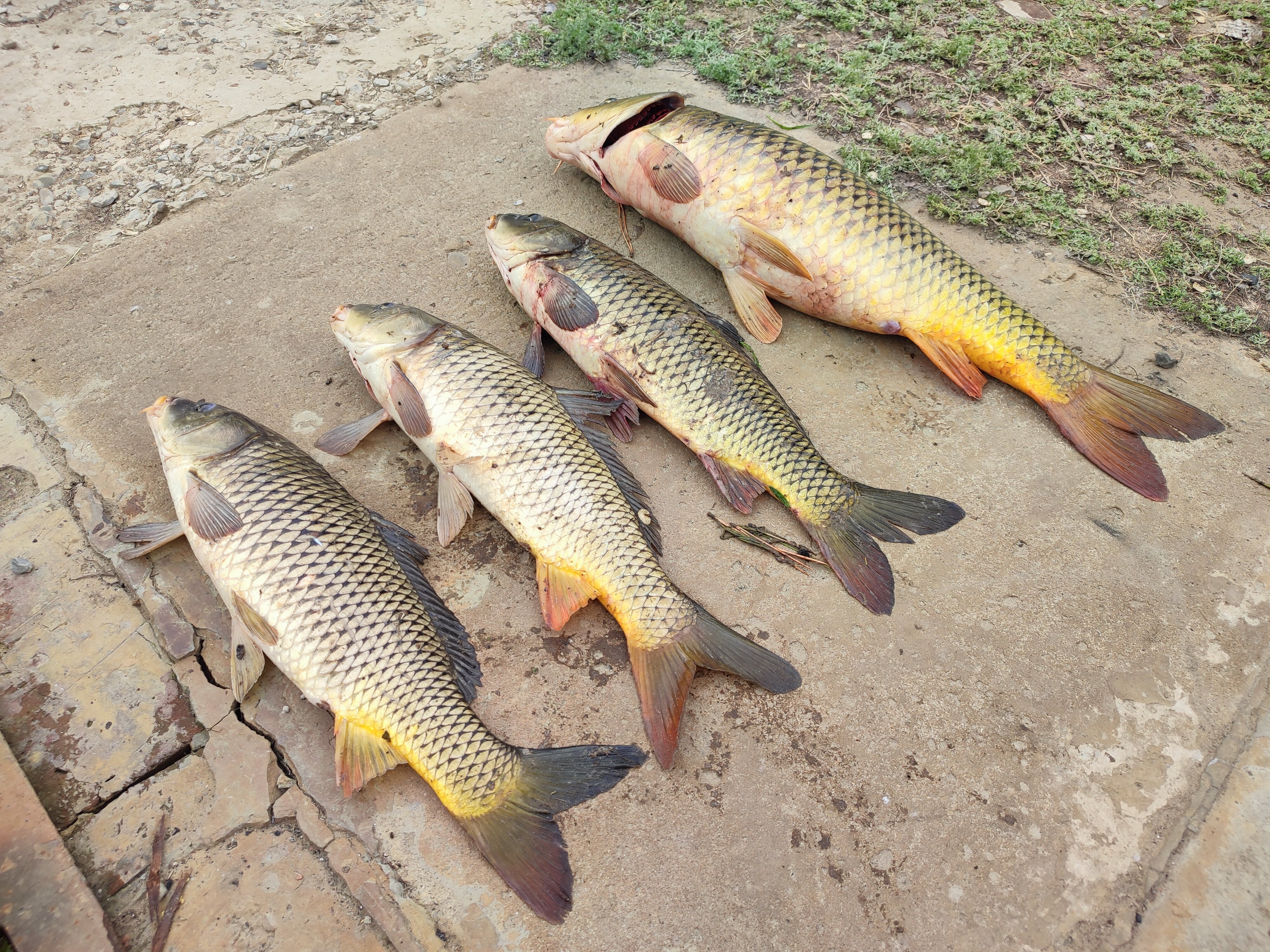 Фото Рыбацкие просторы