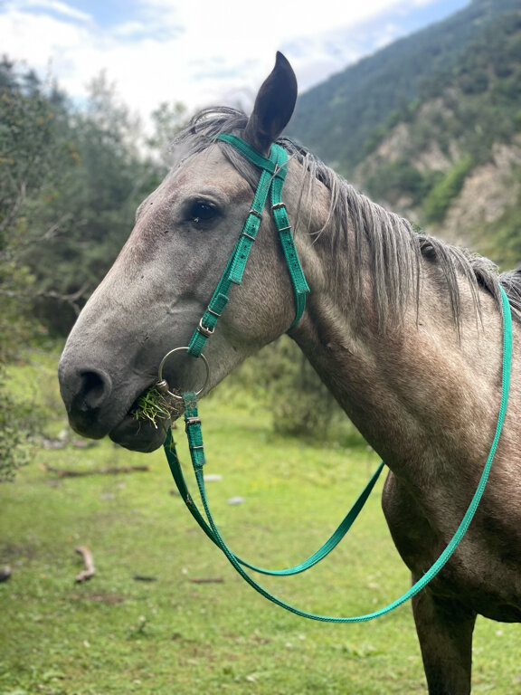 Фото Рагдан