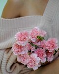 Klever (rayon Severnaya Zhilaya Chast, mikrorayon Mirny, 1/3 Б), flower shop