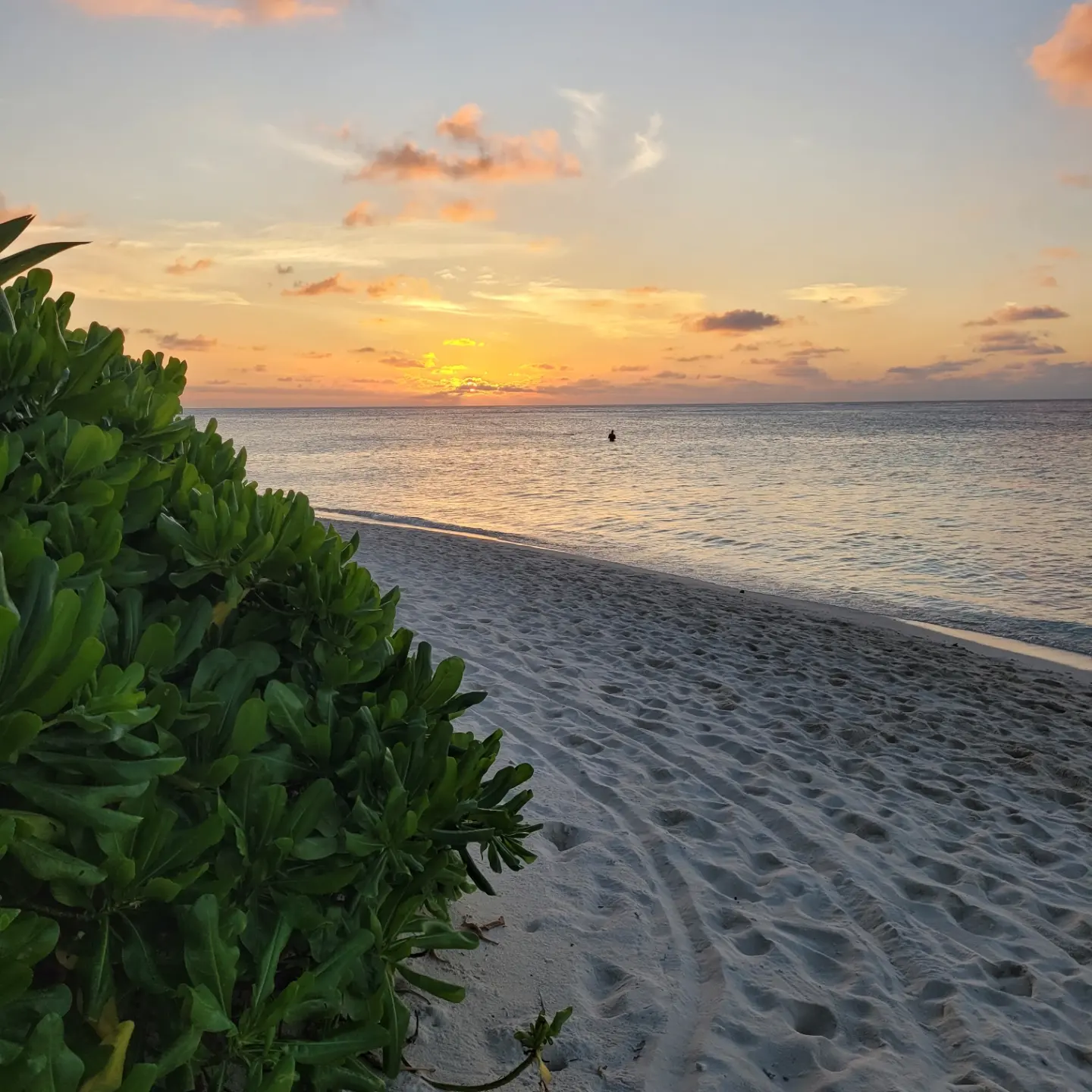 Фото Plumeria Maldives