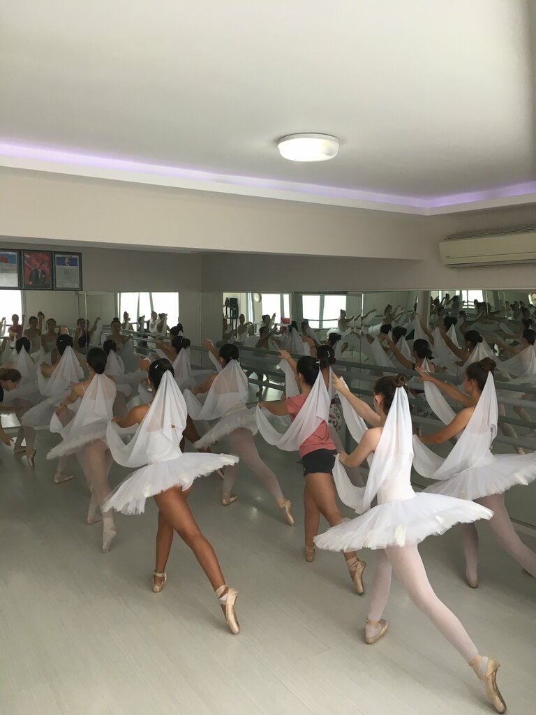 Choreography school Private Egem Ballet and Music Course, Izmir, photo