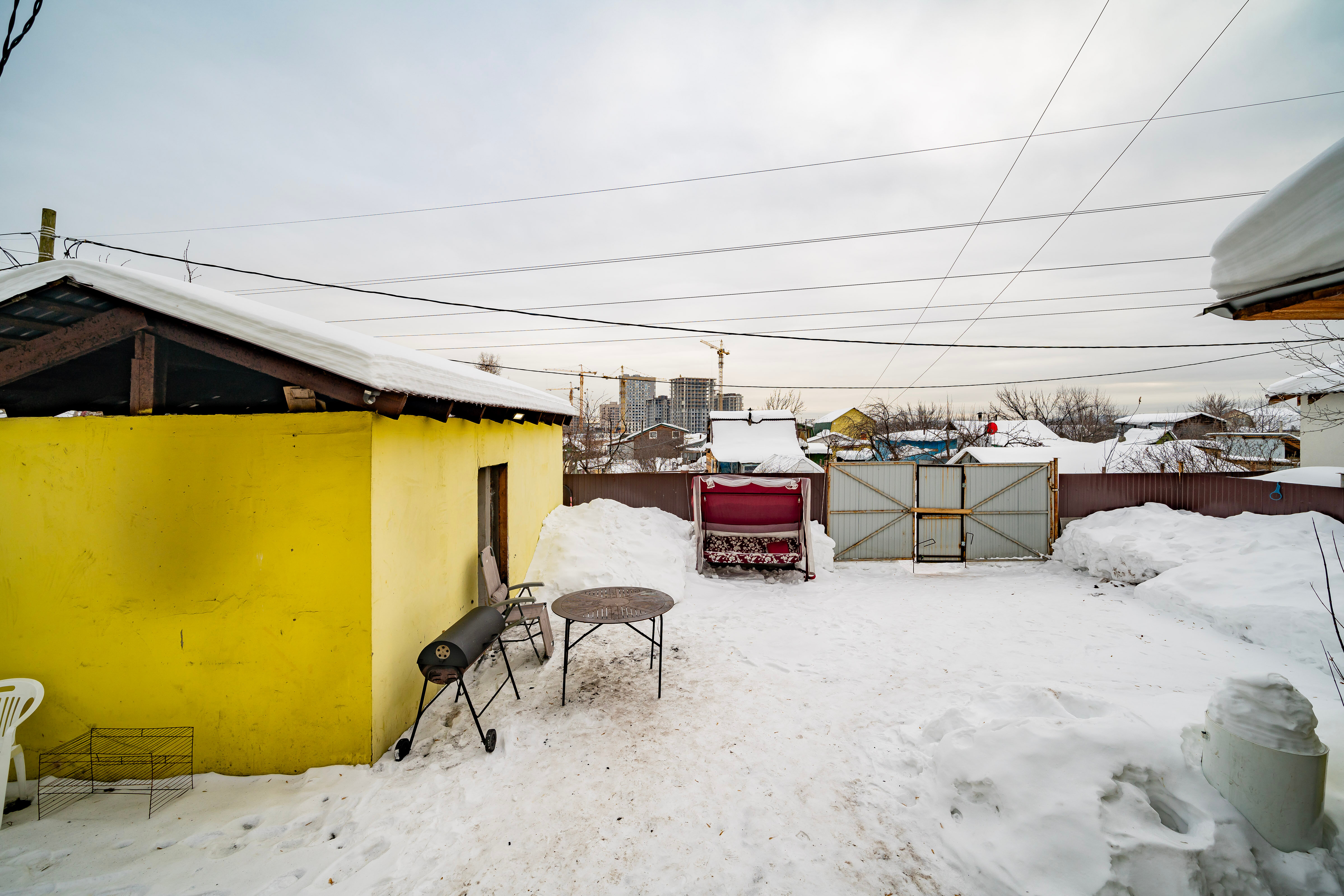 Фото Пальмы