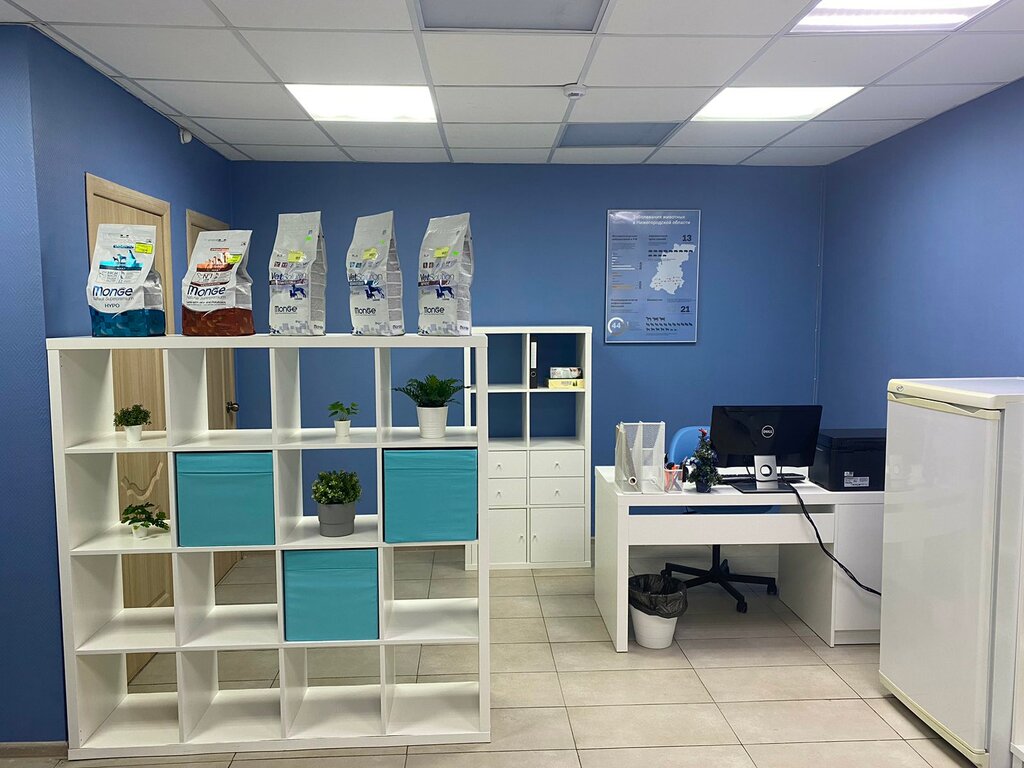 Veterinary clinic Gosudarstvennoye veterinarnoye upravleniye gorodskogo okruga g. Bor, Bor, photo