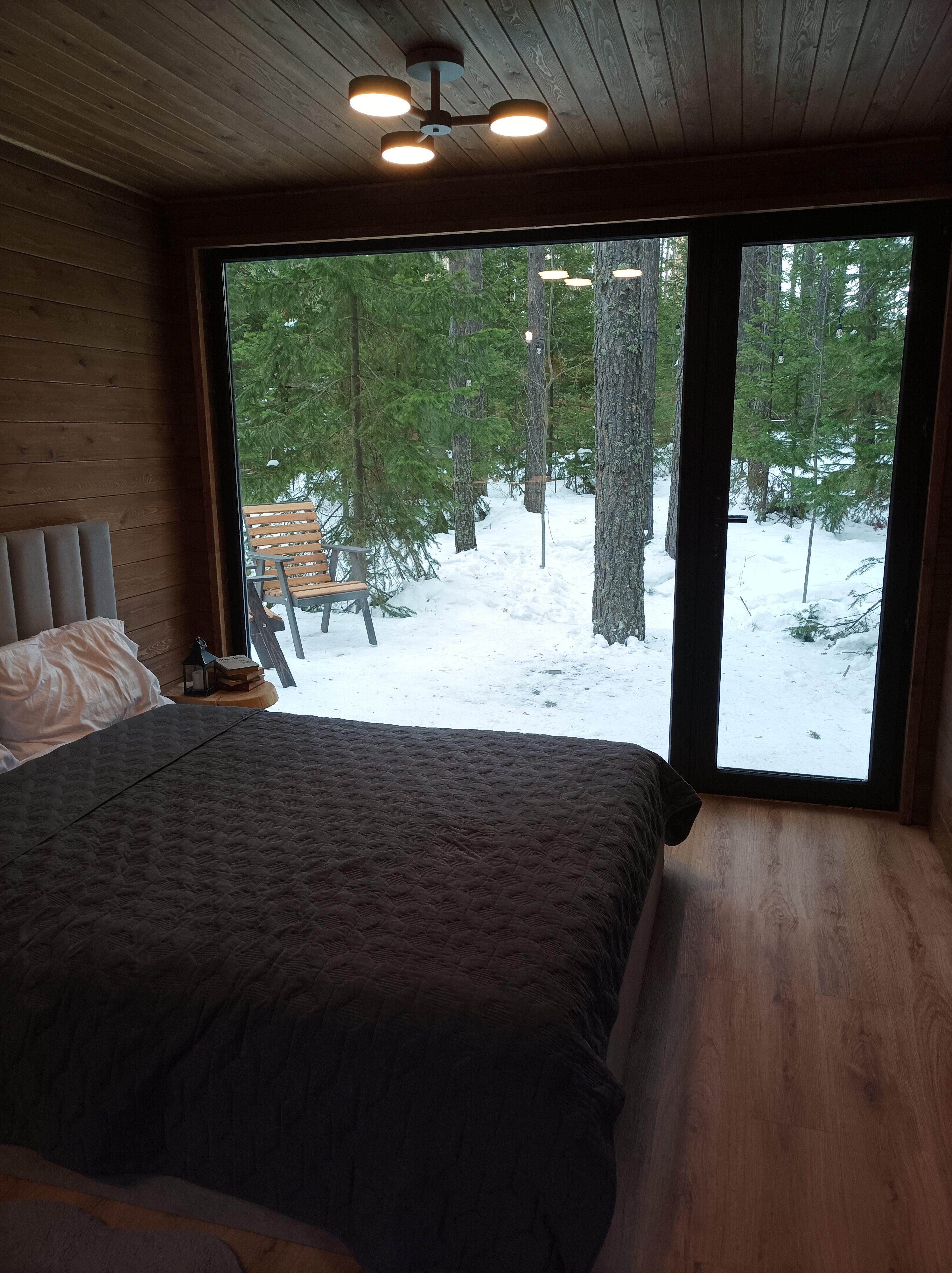 Фото Ёлки да Сосны